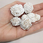 Selenite - Desert Rose