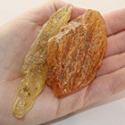 Amber - Copal