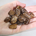 Bronzite