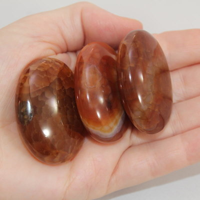 Fire Agate Palm Stone