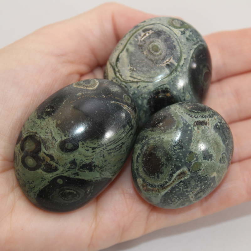 Kambaba Jasper Polished