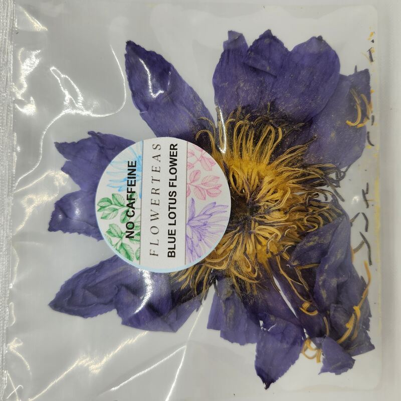Blue Lotus Flower