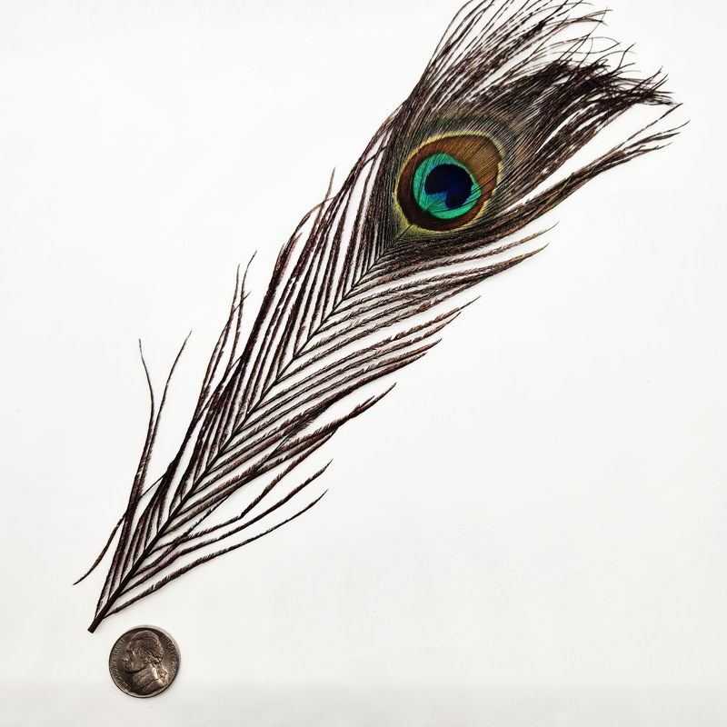 Feathers